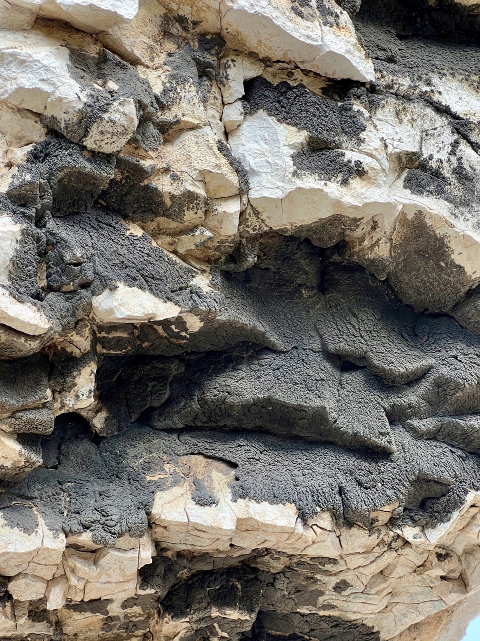 This striking black lichen cuddles the rock at Roche Percée.